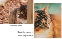 reference photo- pastel painting